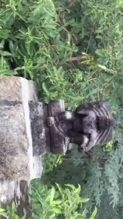 Arulmigu Ayyanar Temple, Alappalacheri - 625527 அய்யனார் திருக்கோயில், Alappalacheri - 625527, Madurai - Ancient Temple Architecture and History Image 3