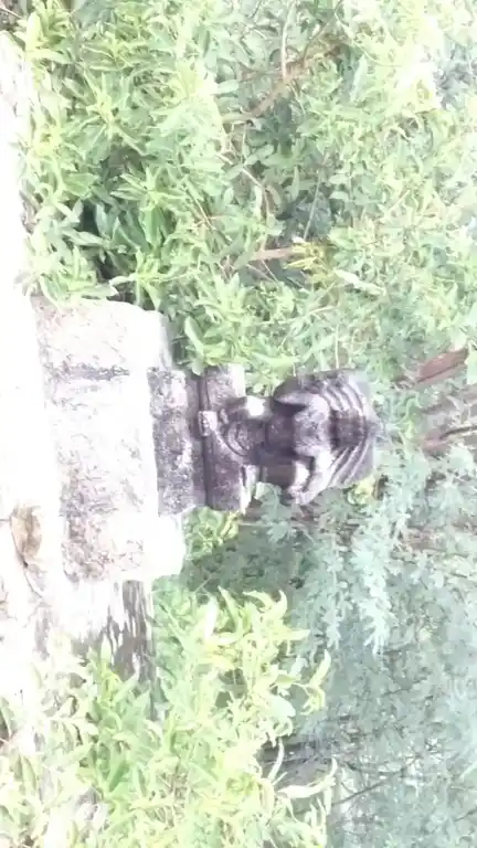 Arulmigu Ayyanar Temple, Alappalacheri - 625527 அய்யனார் திருக்கோயில், Alappalacheri - 625527, Madurai - Ancient Temple Architecture and History Image 4