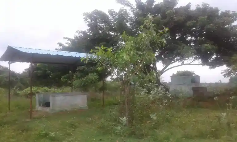 Arulmigu Ayyanar Temple, Alathur - 620011 Arulmigu Ayyanar Temple, Alathur - 620011, Thiruchirappalli - Ancient Temple Architecture and History Image 4