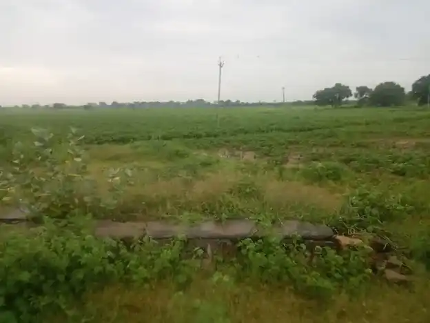 Arulmigu Ayyanar Temple, Alligundam - 625527