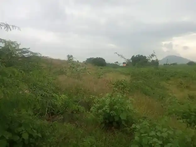 Arulmigu Ayyanar Temple, Alligundam - 625527 அய்யனார் திருக்கோயில், Alligundam - 625527, Madurai - Ancient Temple Architecture and History Image 2