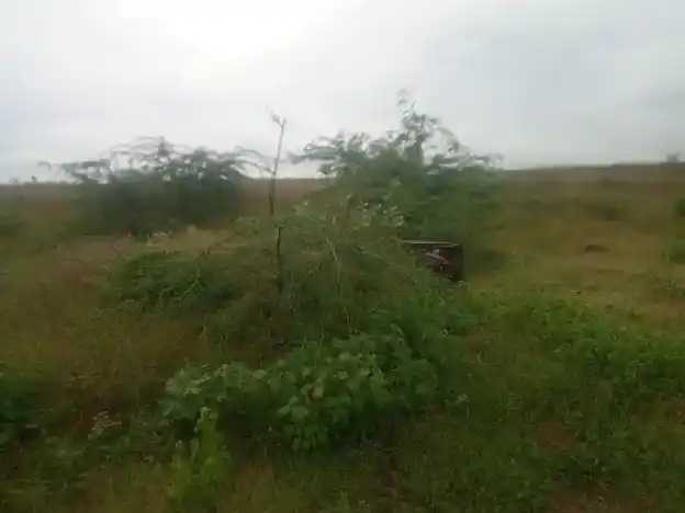 Arulmigu Ayyanar Temple, Alligundam - 625527 அய்யனார் திருக்கோயில், Alligundam - 625527, Madurai - Ancient Temple Architecture and History Image 3
