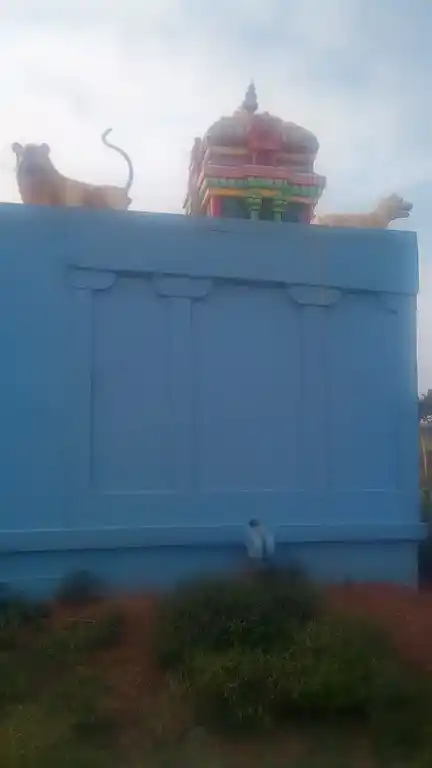 Arulmigu Ayyanar Temple, Ambapoor Kavanoor - 621704 அருள்மிகு அய்யனார் திருக்கோயில், Ambapoor Kavanoor, Ambapoor Kavanoor - 621704, Ariyalur - Ancient Temple Architecture and History Image 5