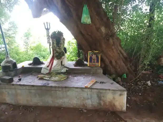 Arulmigu Ayyanar Temple, Anaiyampatti - 636105