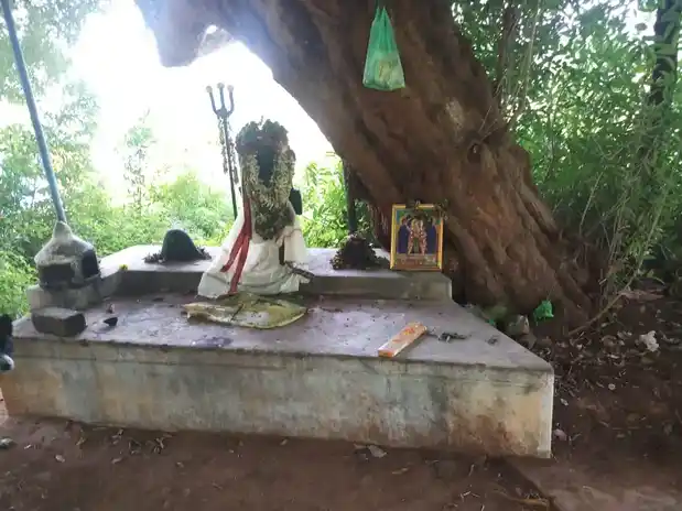 Arulmigu Ayyanar Temple, Anaiyampatti - 636105 அருள்மிகு அய்யனார் திருக்கோயில், Anaiyampatti - 636105, Salem - Ancient Temple Architecture and History Image 2