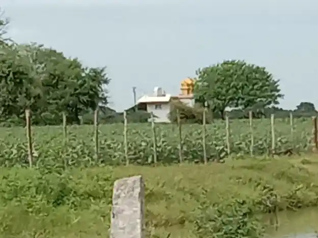 Arulmigu Ayyanar Temple, Andipattakadu - 621701 அருள்மிகு அய்யனார் திருக்கோயில், Andipattakadu - 621701, Ariyalur - Ancient Temple Architecture and History Image 3