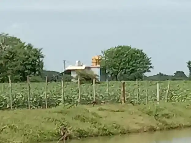 Arulmigu Ayyanar Temple, Andipattakadu - 621701 அருள்மிகு அய்யனார் திருக்கோயில், Andipattakadu - 621701, Ariyalur - Ancient Temple Architecture and History Image 4