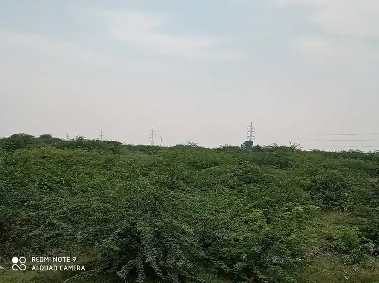 Arulmigu Ayyanar Temple, Appakarai - 625704