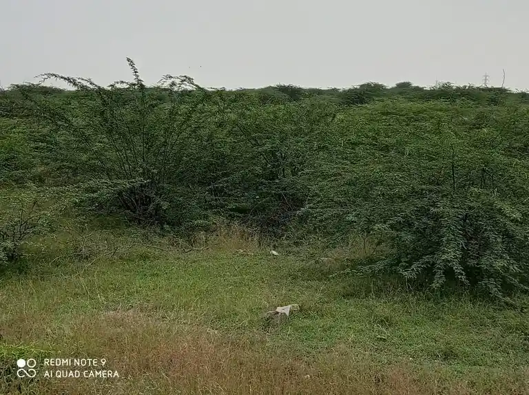 Arulmigu Ayyanar Temple, Appakarai - 625704 அருள்மிகு அய்யனார் திருக்கோவில், Appakarai - 625704, Madurai - Ancient Temple Architecture and History Image 2