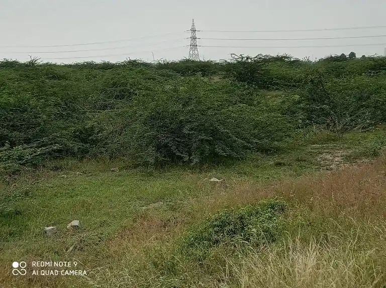 Arulmigu Ayyanar Temple, Appakarai - 625704 அருள்மிகு அய்யனார் திருக்கோவில், Appakarai - 625704, Madurai - Ancient Temple Architecture and History Image 3