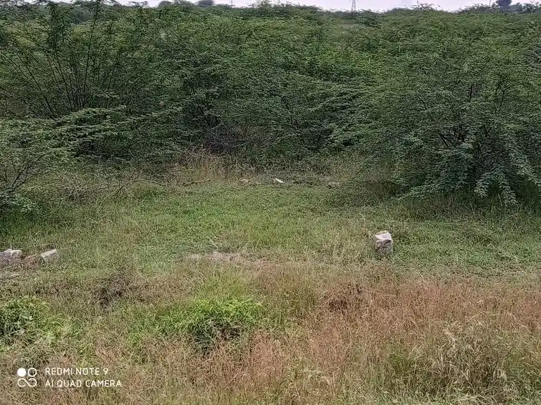 Arulmigu Ayyanar Temple, Appakarai - 625704 அருள்மிகு அய்யனார் திருக்கோவில், Appakarai - 625704, Madurai - Ancient Temple Architecture and History Image 4