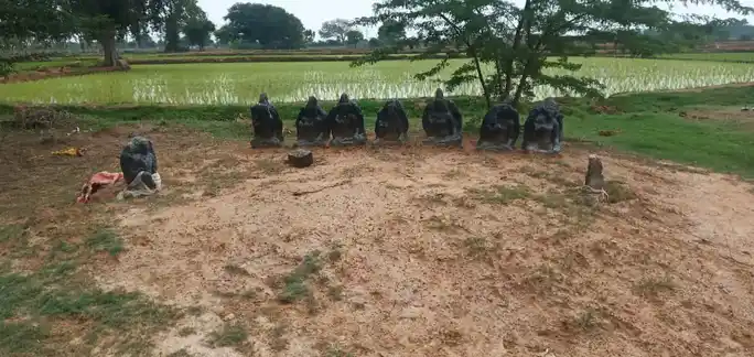 Arulmigu Ayyanar Temple, Arasangudi - 620013