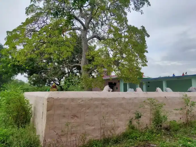 Arulmigu Ayyanar Temple, Arumadal - 621220 Arulmigu Ayyanar Temple, Arumadal - 621220, Perambalur - Ancient Temple Architecture and History Image 3