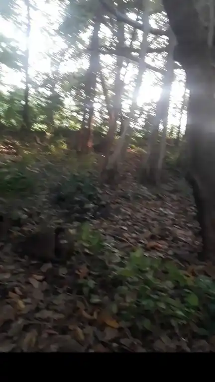 Arulmigu Ayyanar Temple, Athur - 609204 Arulmigu Ayyanar Temple, Athur - 609204, Mayiladuthurai - Ancient Temple Architecture and History Image 2