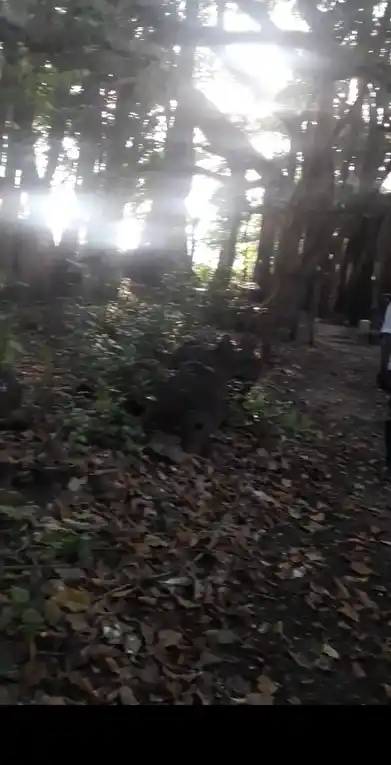 Arulmigu Ayyanar Temple, Athur - 609204 Arulmigu Ayyanar Temple, Athur - 609204, Mayiladuthurai - Ancient Temple Architecture and History Image 3