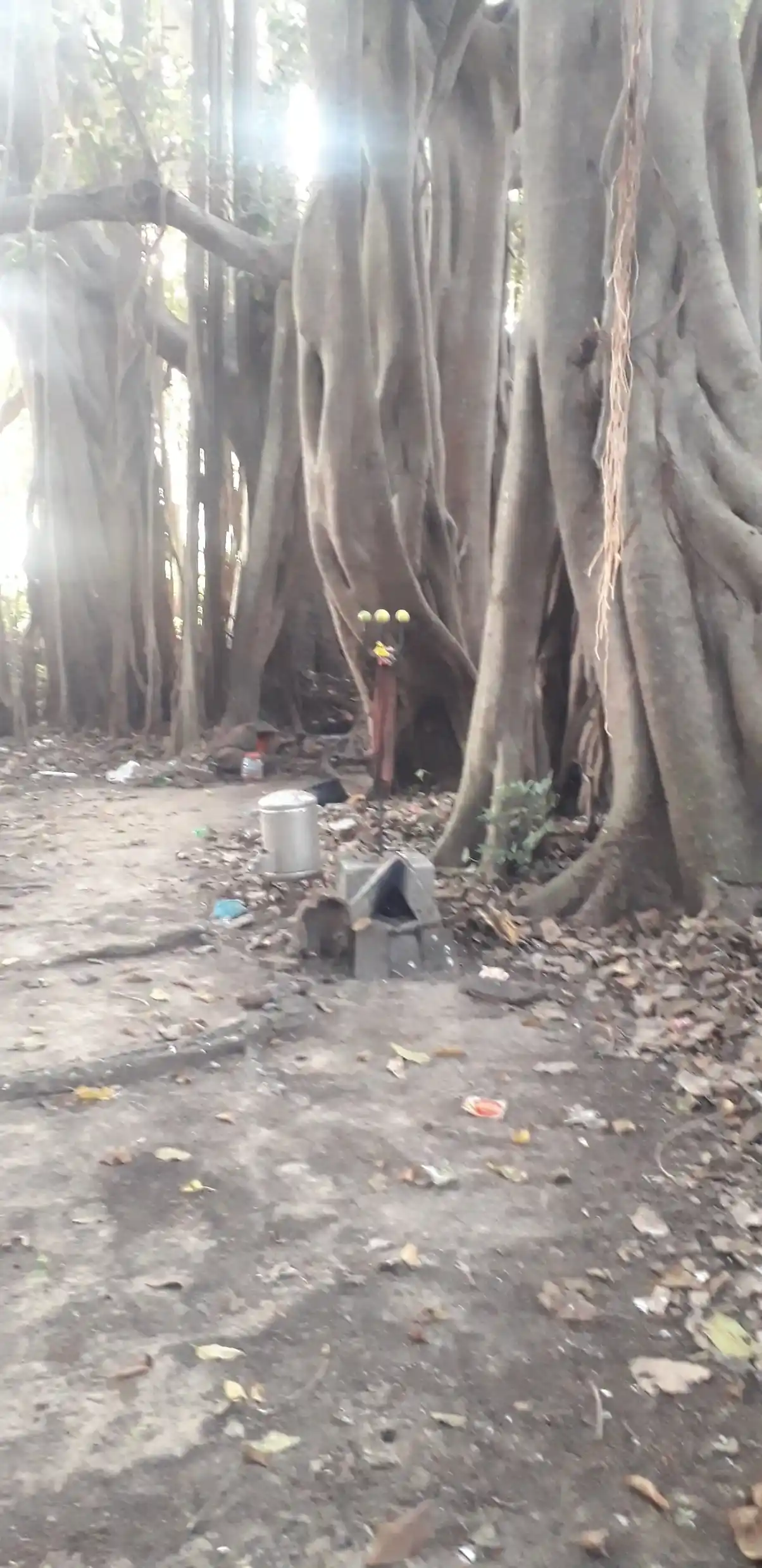 Arulmigu Ayyanar Temple, Athur - 609204 Arulmigu Ayyanar Temple, Athur - 609204, Mayiladuthurai - Ancient Temple Architecture and History Image 4