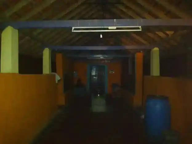 Arulmigu Ayyanar Temple, Atthani - 614630 அருள்மிகு அய்யனார் திருக்கோயில், Atthani - 614630, Pudukkottai - Ancient Temple Architecture and History Image 3