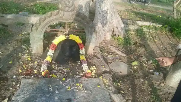 Arulmigu Ayyanar Temple, Atthippallam - 621316 அருள்மிகு அய்யனார் திருக்கோயில், அத்திப்பள்ளம் - 621316, Pudukkottai - Ancient Temple Architecture and History Image 4