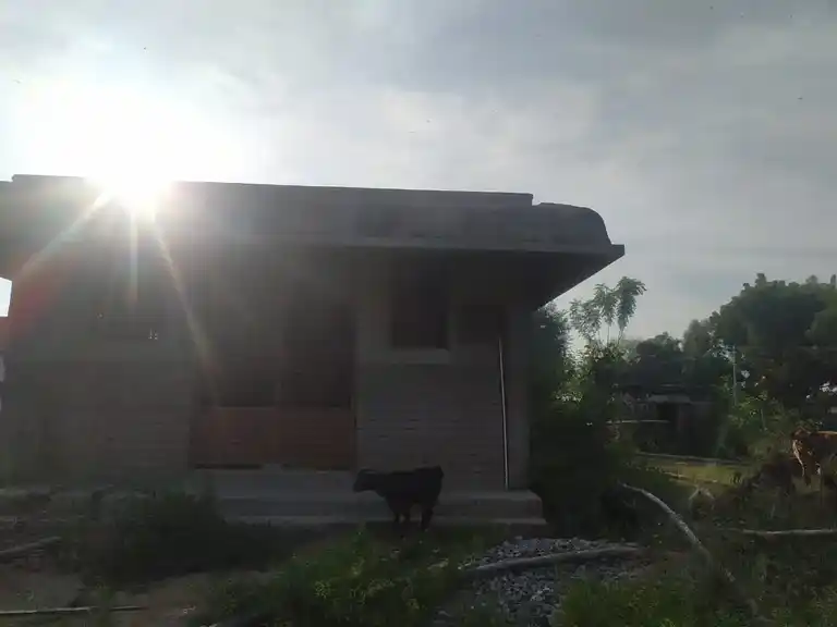 Arulmigu Ayyanar Temple, Ayikudi - 621115