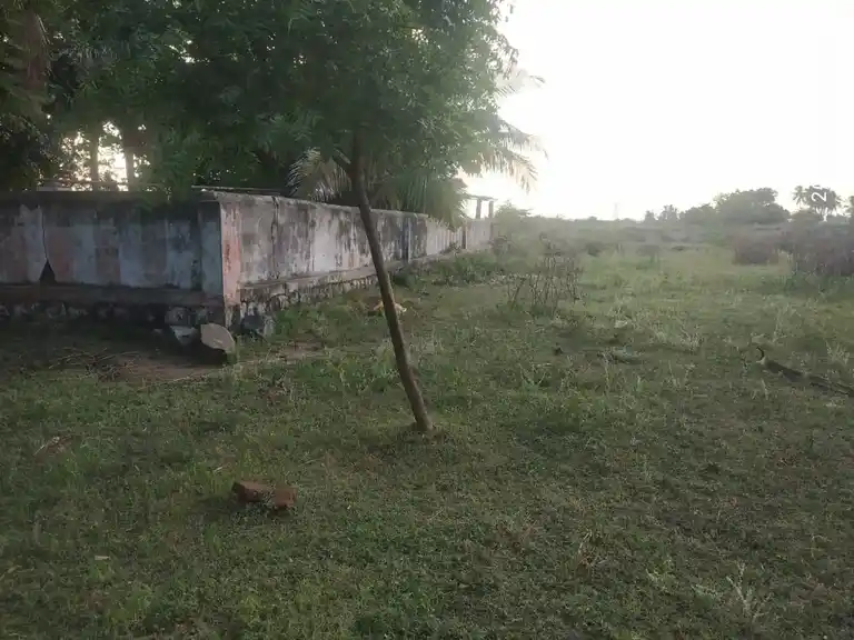 Arulmigu Ayyanar Temple, Ayyalur - 621113 அருள்மிகு அய்யனார் திருக்கோயில், Ayyalur - 621113, Perambalur - Ancient Temple Architecture and History Image 2