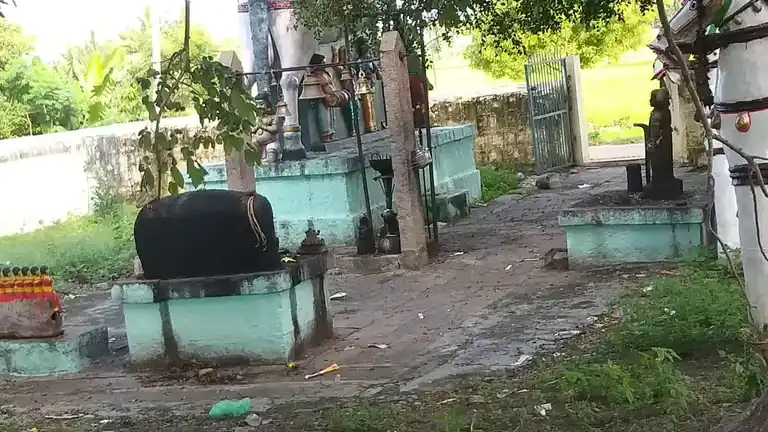 Arulmigu Ayyanar Temple, Ayyanampatti - 625532