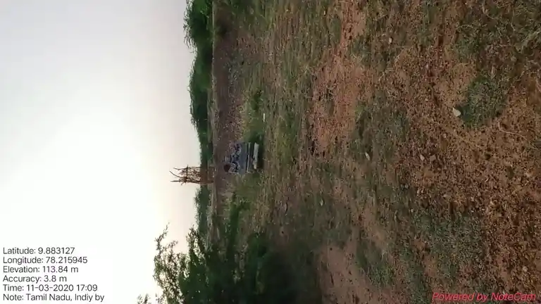 Arulmigu Ayyanar Temple, Carseri - 625020 அய்யனார் கோயில்,  - 625020, Madurai - Ancient Temple Architecture and History Image 4