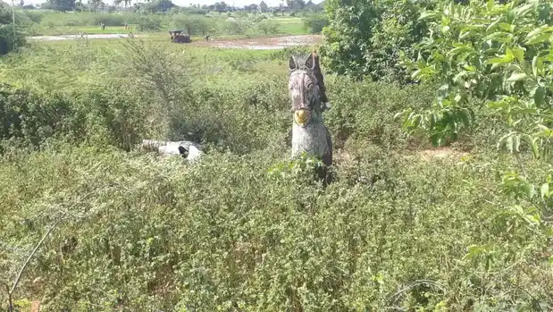 Arulmigu Ayyanar Temple, Cettikulam - 625514