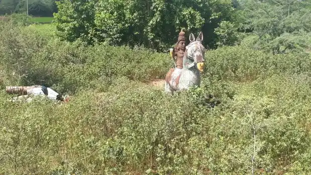 Arulmigu Ayyanar Temple, Cettikulam - 625514 அருள்மிகு அய்யனார் கோயில், Cettikulam, Cettikulam - 625514, Madurai - Ancient Temple Architecture and History Image 7