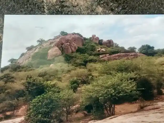 Arulmigu Ayyanar Temple, Charathangal - 606704 அருள்மிகு அய்யனார் திருக்கோயில், Charathangal - 606704, Tiruvannamalai - Ancient Temple Architecture and History Image 2