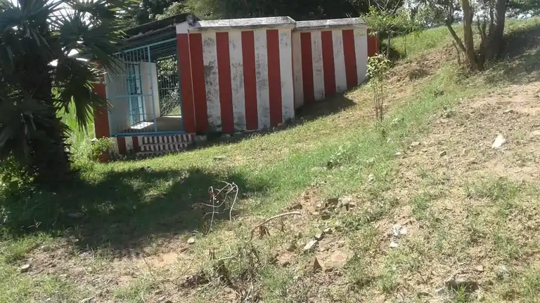 Arulmigu Ayyanar Temple, Chetikulam, Chetikulam - 626117