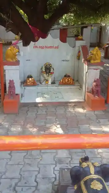 Arulmigu Ayyanar Temple, Chinna Chokkikulam - 625002 அருள்மிகு அய்யனார் திருக்கோயில், சின்ன சொக்கி குளம் - 625002, Madurai - Ancient Temple Architecture and History Image 3