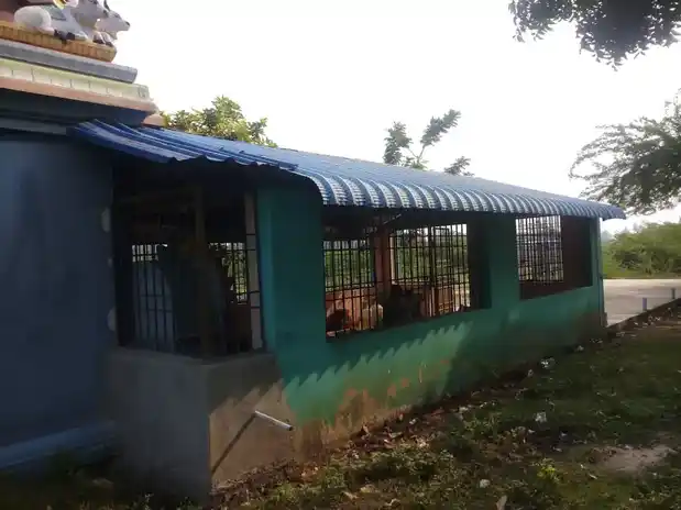 Arulmigu Ayyanar Temple, Chinnaganganakuppam - 607003 அருள்மிகு அய்யனார் திருக்கோயில், Chinnaganganakuppam - 607003, Cuddalore - Ancient Temple Architecture and History Image 7