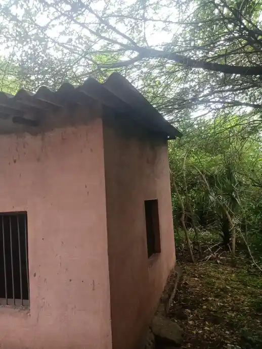 Arulmigu Ayyanar Temple, Elanangoor - 608302 அருள்மிகு ஐயனார் திருக்கோயில், Elanangoor - 608302, Cuddalore - Ancient Temple Architecture and History Image 4