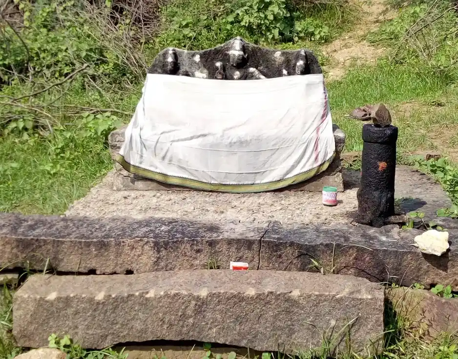 Arulmigu Ayyanar Temple, Elanthiraikondan, Elanthiraikondan - 626142 அருள்மிகு அய்யனார் திருக்கோயில், இளந்திரைகொண்டான், இளந்திரைகொண்டான் கிராமம் - 626142, Virudhunagar - Ancient Temple Architecture and History Image 7