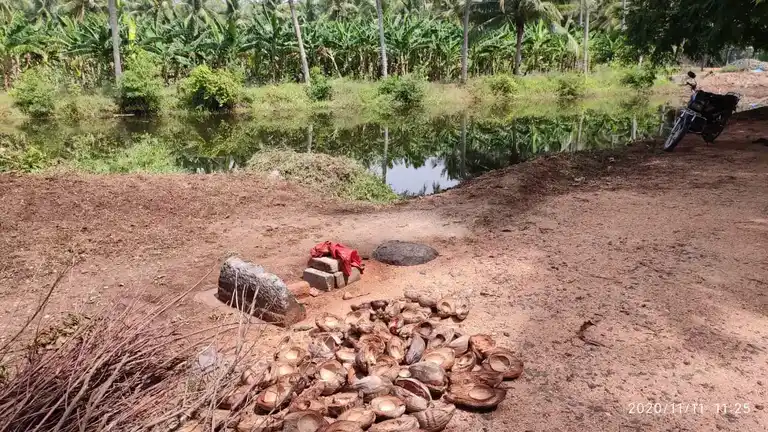 Arulmigu Ayyanar Temple, Ellupakulam - 625706 அருள்மிகு அய்யனார் திருக்கோயில்,  - 625706, Madurai - Ancient Temple Architecture and History Image 3