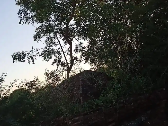 Arulmigu Ayyanar Temple, Gangaikondacholapuram - 621901 Arulmigu Ayyanar Temple, Gangaikondacholapuram - 621901, Ariyalur - Ancient Temple Architecture and History Image 3