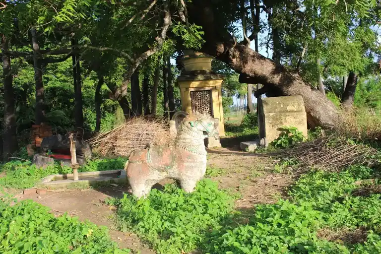 Arulmigu Ayyanar Temple, Injikkollai - 612605