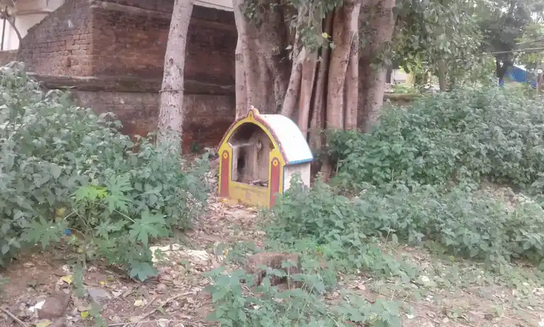 Arulmigu Ayyanar Temple, Jayakondasolapuram - 621802 Arulmigu Ayyanar Temple, Jayakondasolapuram - 621802, Ariyalur - Ancient Temple Architecture and History Image 2