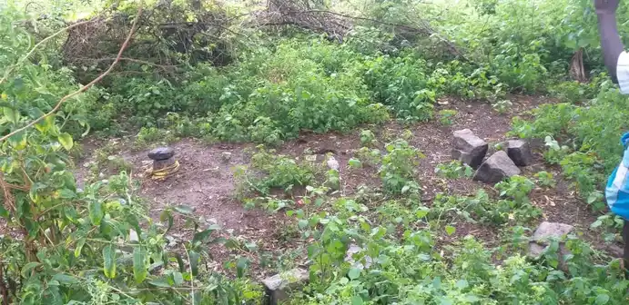 Arulmigu Ayyanar Temple, Jothimanikkam - 625514