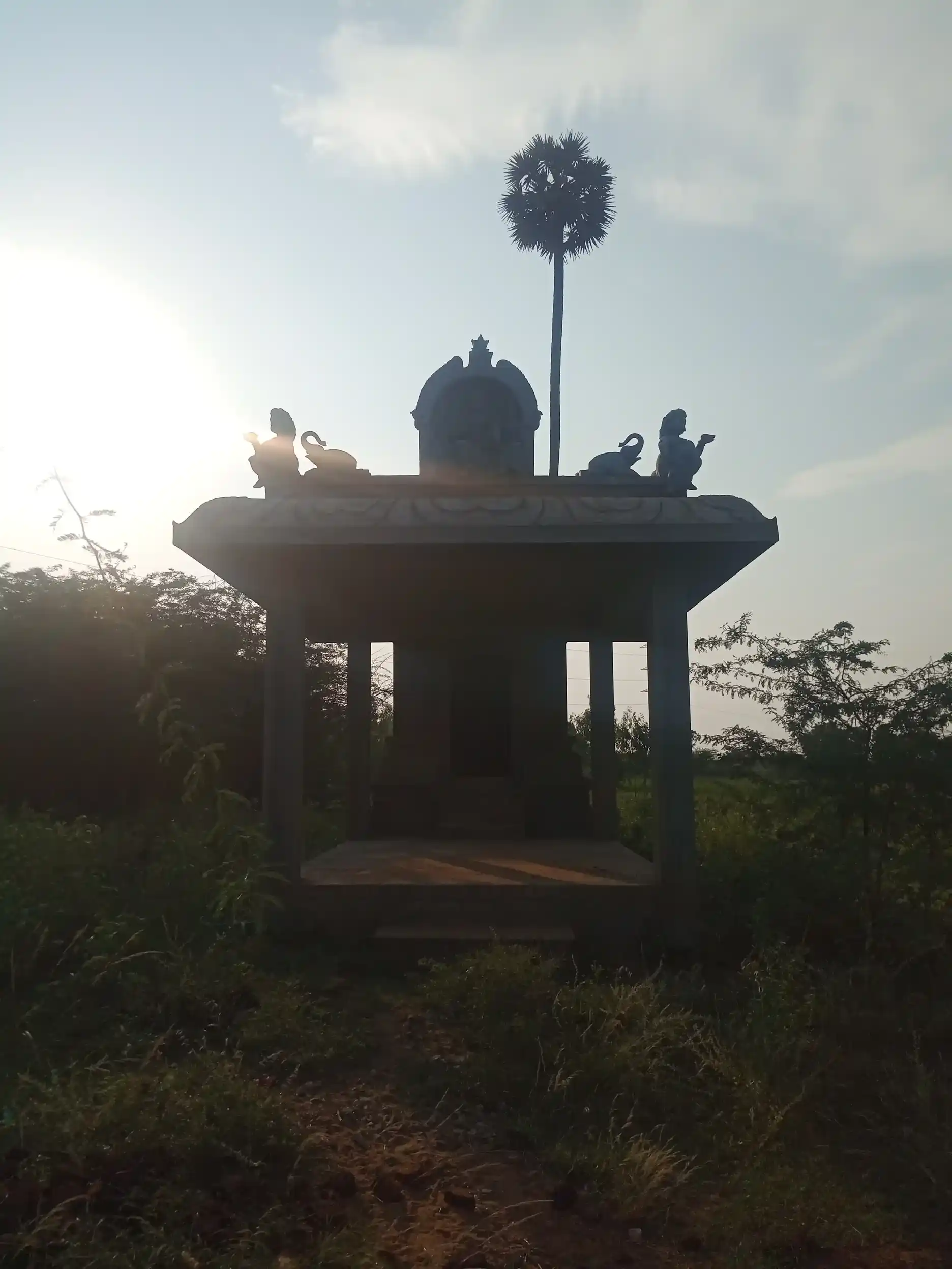 Arulmigu Ayyanar Temple, Kaattukkottaipatti - 622504