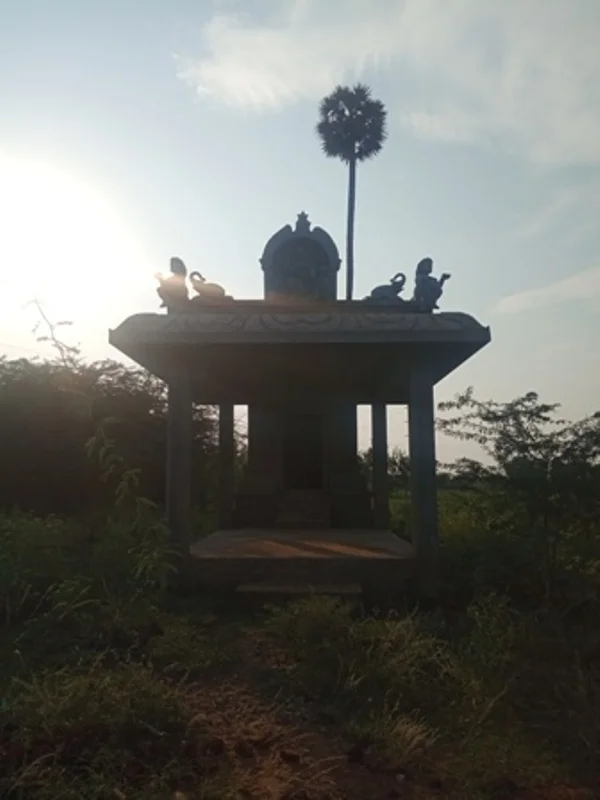 அருள்மிகு அய்யனார் திருக்கோயில், Kaattukkottaipatti - 622504 - Main View