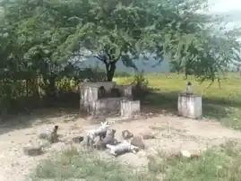 Arulmigu Ayyanar Temple, Kadaneri, Kadaneri - 626138 அருள்மிகு அய்யனார் திருக்கோயில், காடனேரி, காடனேரி கிராமம் - 626138, Virudhunagar - Ancient Temple Architecture and History Image 3