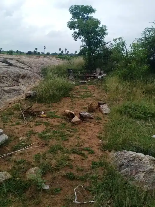 Arulmigu Ayyanar Temple, Kalligudi - 625701 Arulmigu Ayyanar Temple, Kalligudi - 625701, Madurai - Ancient Temple Architecture and History Image 3
