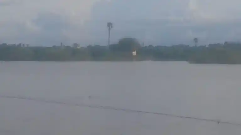 Arulmigu Ayyanar Temple, Kaluvankulam - 630611