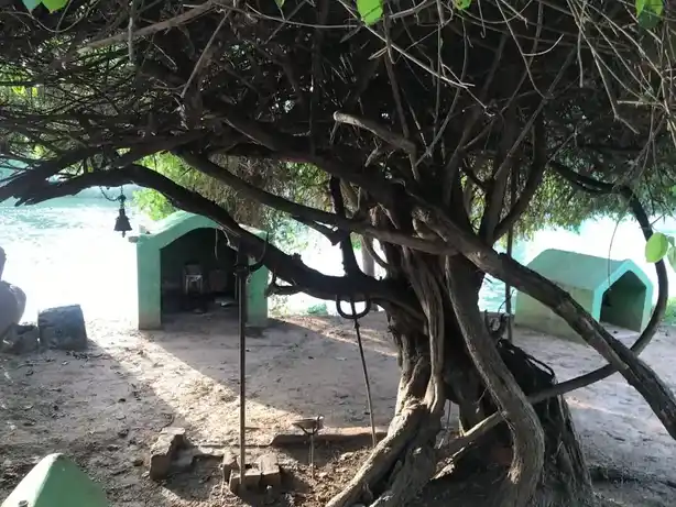 Arulmigu Ayyanar Temple, Kanjankollai - 608304