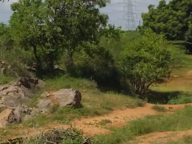 Arulmigu Ayyanar Temple, Karadikal - 625706