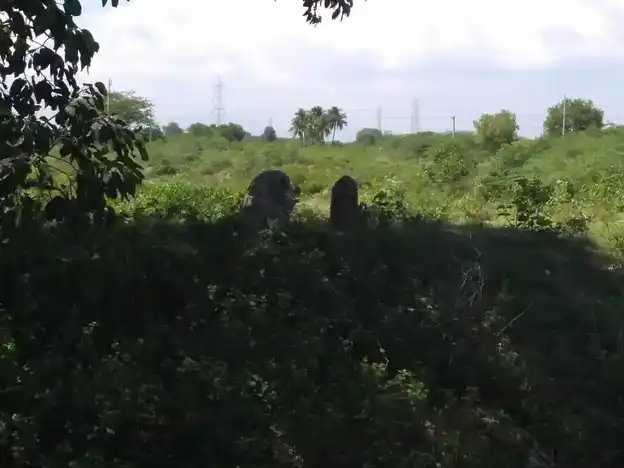 Arulmigu Ayyanar Temple, Karadikal - 625706 அருள்மிகு அய்யனார் கோயில், Karadikal, Karadikal - 625706, Madurai - Ancient Temple Architecture and History Image 4
