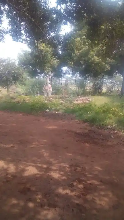 Arulmigu Ayyanar Temple, Karaiyakudi, Karaivetti - 621707 அருள்மிகு அய்யனார் திருக்கோயில், Karaiyakudi, கரைவெட்டி - 621707, Ariyalur - Ancient Temple Architecture and History Image 3