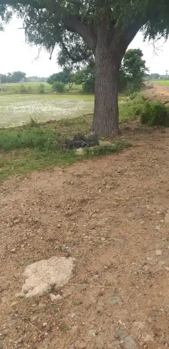 Arulmigu Ayyanar Temple, Karukappilai - 625514 அருள்மிகு அய்யனார் திருக்கோயில், Karukappilai - 625514, Madurai - Ancient Temple Architecture and History Image 3