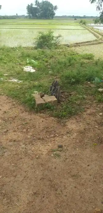 Arulmigu Ayyanar Temple, Karukappilai - 625514 அருள்மிகு அய்யனார் திருக்கோயில், Karukappilai - 625514, Madurai - Ancient Temple Architecture and History Image 5